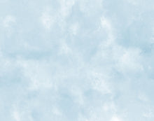 Load image into Gallery viewer, Digital Download (printable) Art and Lettering Background Bundle (Summer Watercolor)